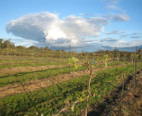 Flyfaire Wines - Yamba Accommodation 7