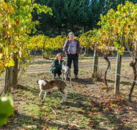 Little River Wines of Taggerty - Yamba Accommodation