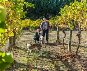 Little River Wines Of Taggerty - Yamba Accommodation 0