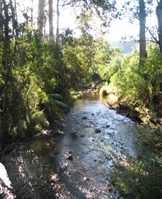 Little River Wines Of Taggerty - Yamba Accommodation 5