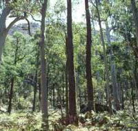 Cathedral Range State Park - Yamba Accommodation