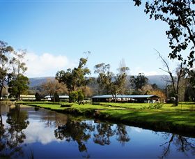 Buxton Trout & Salmon Farm - Yamba Accommodation 0