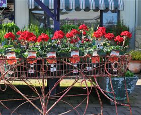 Van Loon's Nursery - Yamba Accommodation 0