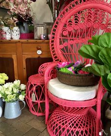 Van Loon's Nursery - Yamba Accommodation 3