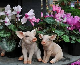 Van Loon's Nursery - Yamba Accommodation 2