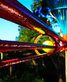 Bellarine Adventure Golf - Yamba Accommodation 6