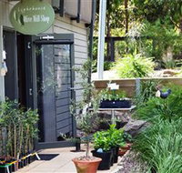 The Lighthouse Olive Mill Shop - Yamba Accommodation