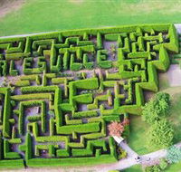 Hedgend Maze and Healesville Laser Sport - Yamba Accommodation