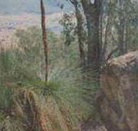 Mount Lawson State Park - Yamba Accommodation