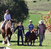 Bathurst Farm Experience - Yamba Accommodation