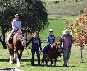 Bathurst Farm Experience - Yamba Accommodation 0