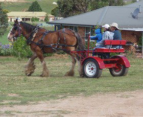 Bathurst Farm Experience - Yamba Accommodation 3