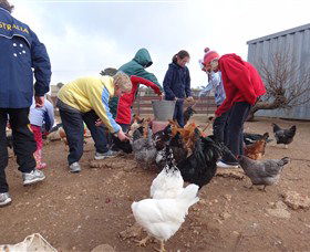 Bathurst Farm Experience - Yamba Accommodation 2