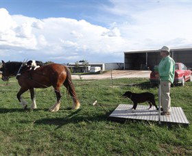 Bathurst Farm Experience - Yamba Accommodation 7