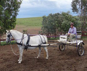 Bathurst Farm Experience - Yamba Accommodation 8