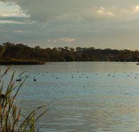 Lake Inverell Reserve - Yamba Accommodation