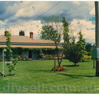 Tumut Valley Violets - Yamba Accommodation