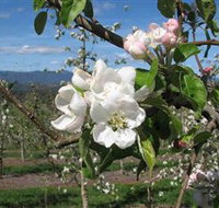 Mouat's Farm - Yamba Accommodation