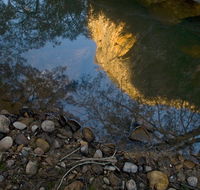 Abercrombie Karst Conservation Reserve - Yamba Accommodation
