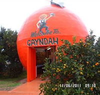 Gayndahs Big Orange - Yamba Accommodation