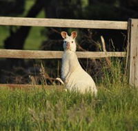 Panorama Garden Estate - Yamba Accommodation