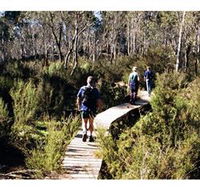 Hume and Hovell Walking Track - Henry Angel Trackhead - Yamba Accommodation
