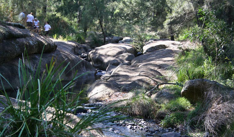 Owens Gap NSW Yamba Accommodation