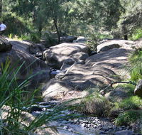 Towarri National Park - Yamba Accommodation