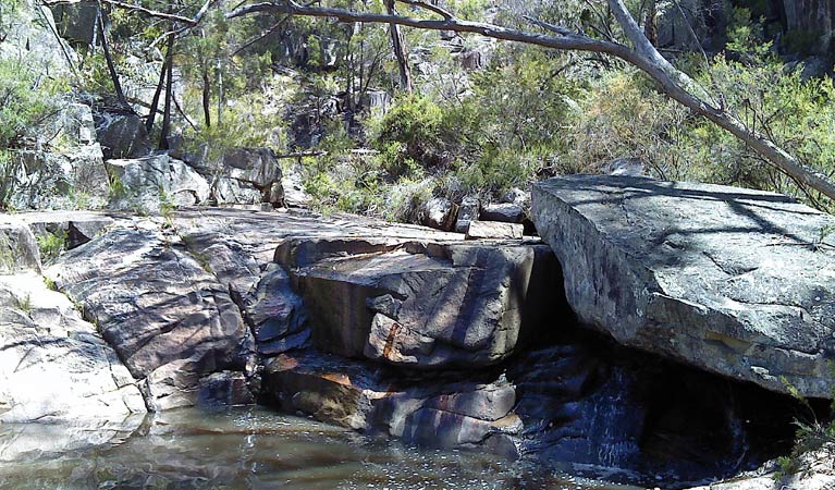 Deepwater NSW Yamba Accommodation