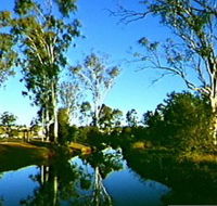 Dingo Creek Park - Yamba Accommodation