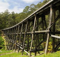 Noojee Trestle Bridge - Yamba Accommodation