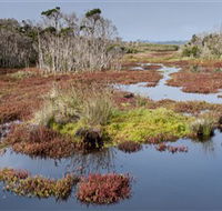 French Island National Park - Yamba Accommodation