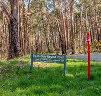 Lobs Hole Ravine 4WD Trail - Yamba Accommodation