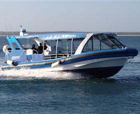 Phillip Island Nature Parks - Yamba Accommodation 2
