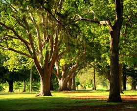 Queens Park, Toowoomba - Yamba Accommodation 1