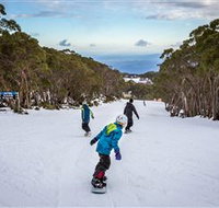 Mt Baw Baw Alpine Resort - Yamba Accommodation