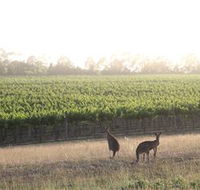 Small Forest Wine - Yamba Accommodation