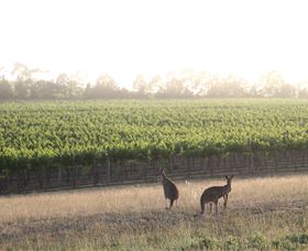 Small Forest Wine - Yamba Accommodation 0