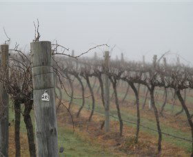 Small Forest Wine - Yamba Accommodation 1