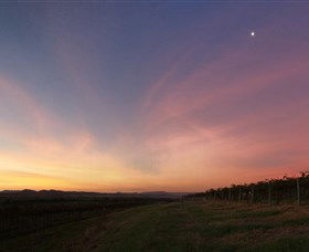 Small Forest Wine - Yamba Accommodation 2