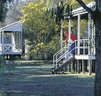 Dryandra Woodland - Yamba Accommodation