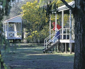 Dryandra Woodland - Yamba Accommodation 0