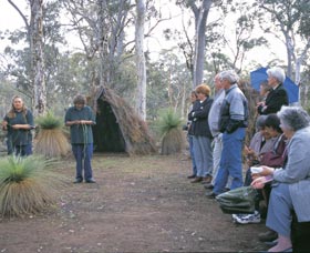 Dryandra Woodland - Yamba Accommodation 2