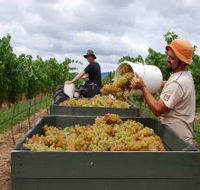 Golden Grove Estate - Yamba Accommodation