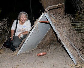 Barna Mia Native Animal Sanctuary - Yamba Accommodation 3