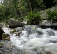 Washpool National Park - Yamba Accommodation