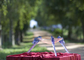 Lillico VIC Yamba Accommodation