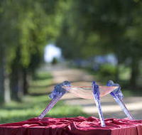 Lillico Glass Studio - Yamba Accommodation