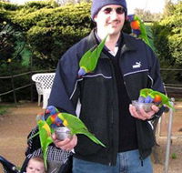 Canberra Walk In Aviary - Yamba Accommodation