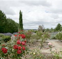 Crystal Brook Lavender Farm - Yamba Accommodation